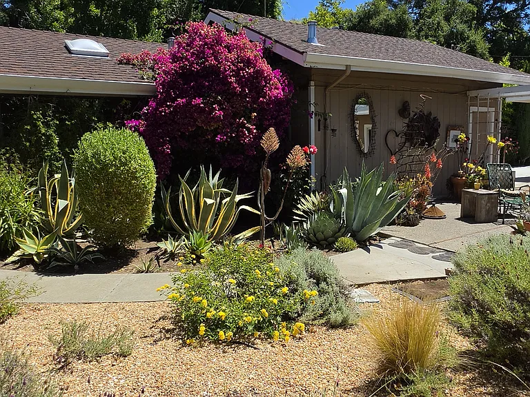 View from Rear Yard Area