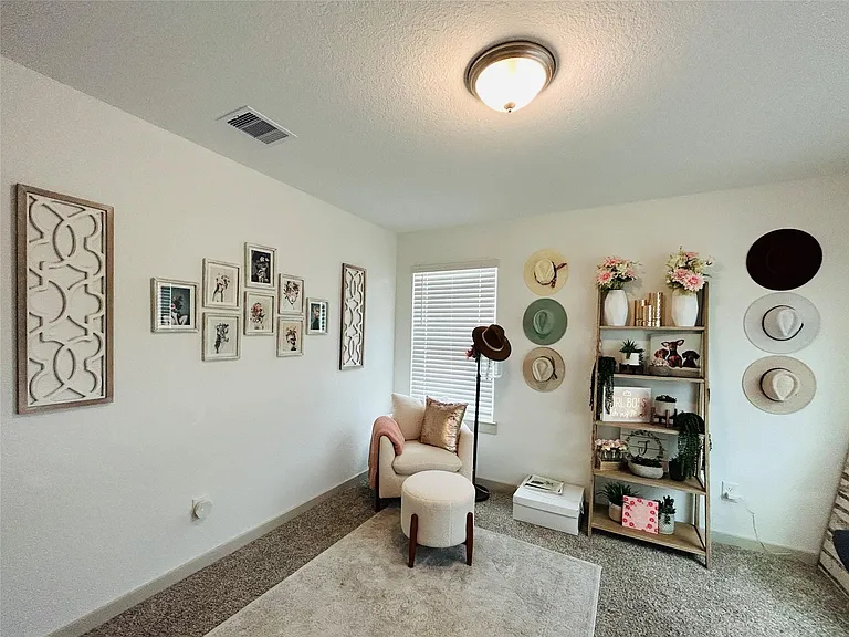 29403 Georgia Throw Ln — Photo 7
