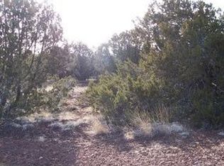 1773 Schad Pl, Show Low, AZ 85901