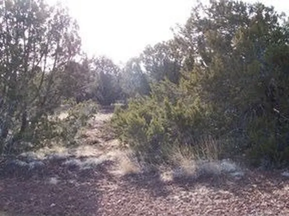 1773 Schad Pl, Show Low, AZ 85901