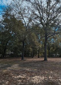 Princess Pond Rd, Summerton, SC, 29148