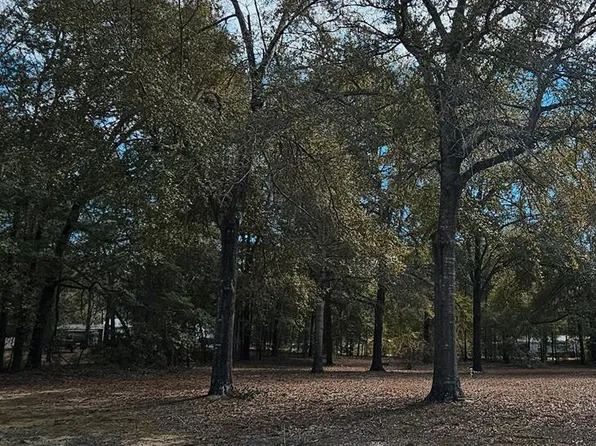 Princess Pond Rd, Summerton, SC 29148