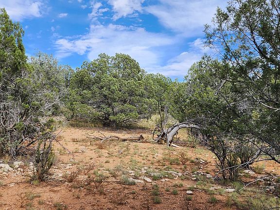 912 Westwood Rnch, Ash Fork, AZ 86320 | MLS #1059395 | Zillow