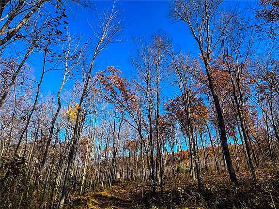 4th image of Lot 7 & 8 Breakneck Road