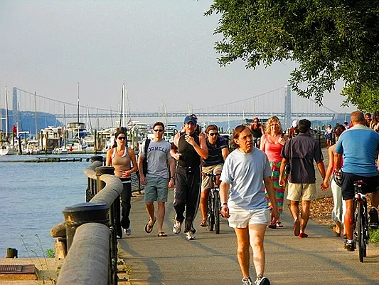 Rented by Profit Realty | media 17