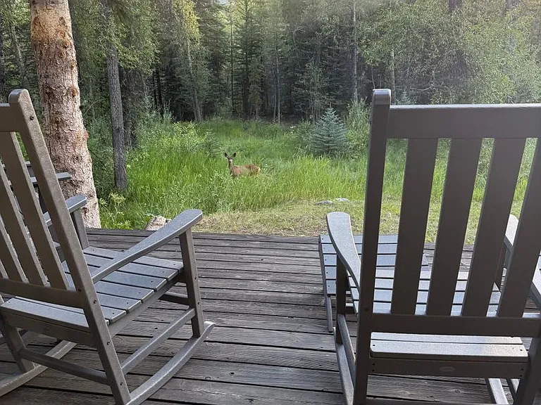 517 Sage Creek Canyon Dr — Photo 43