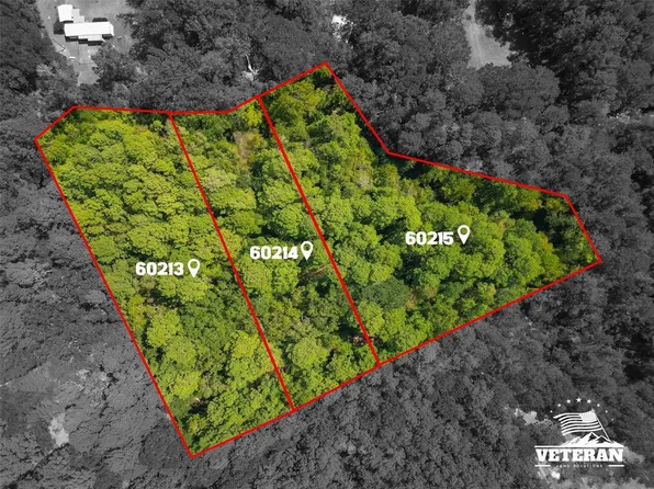 0 No Name Lane, Coldspring, TX 77331
