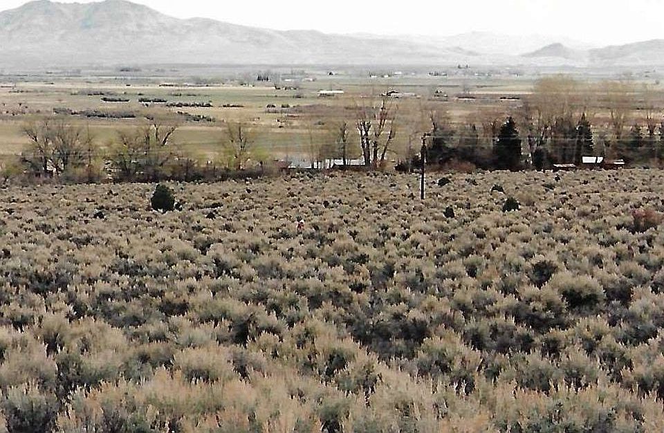 2nd image of 155 Upper Colony