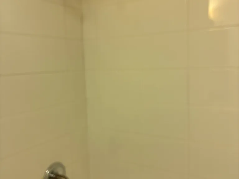 409 Halsey St #1 — Photo 6