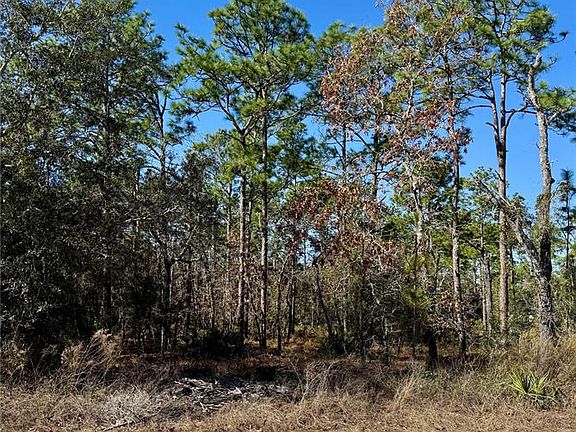 2nd image of 0 Macassar Rd