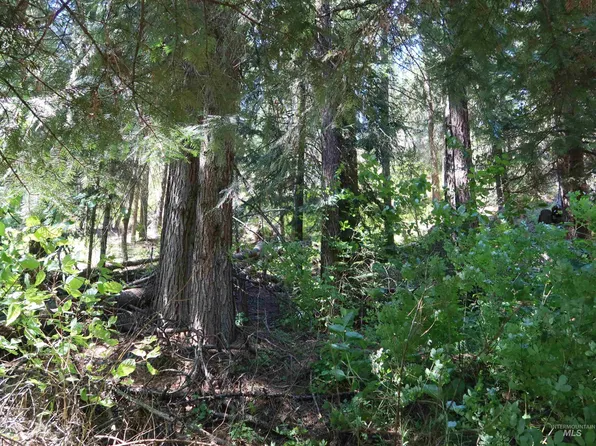 115 Council Cuprum Rd, Council, ID 83612