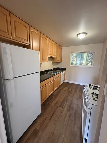 573 Harrison Ave #1 Photo 1