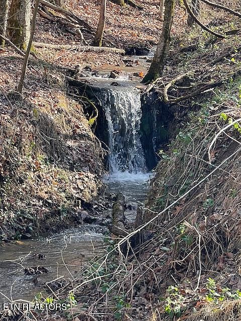 1st image of 1008 Blair Loop Rd