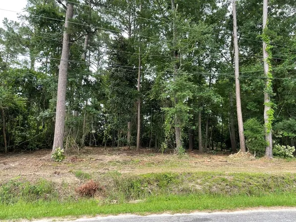 629 Cork Ferry Rd, Cordele, GA 31015