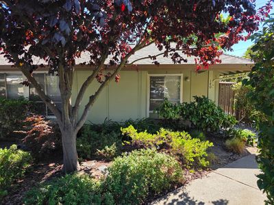 140 Castillion Ter, Santa Cruz, CA, 95060