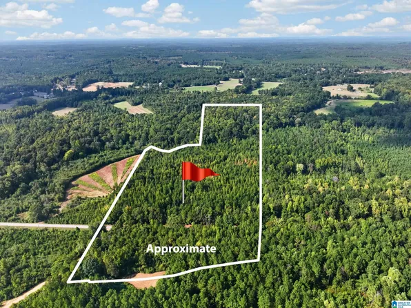 0 Liberty Lyles Woodard Rd, Ethelsville, AL 35461