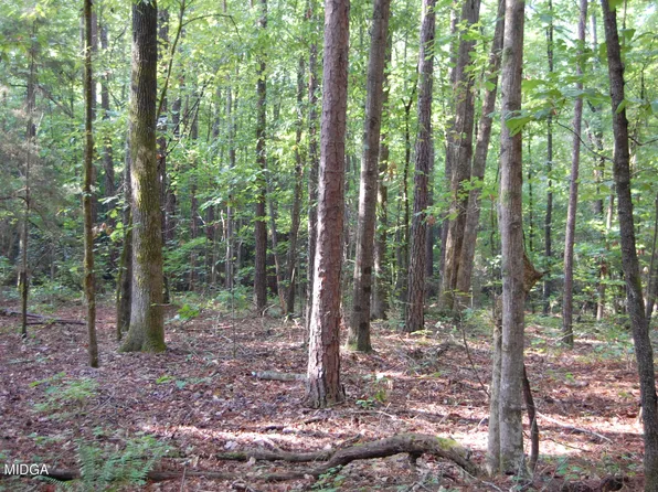 2 Kyndall Ln, Forsyth, GA 31029