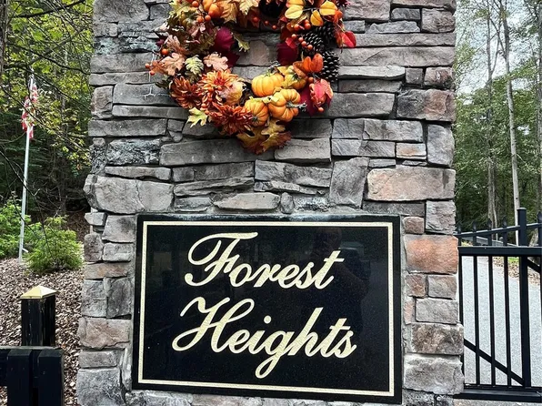 79 Big Branch Dr, Marion, NC 28752