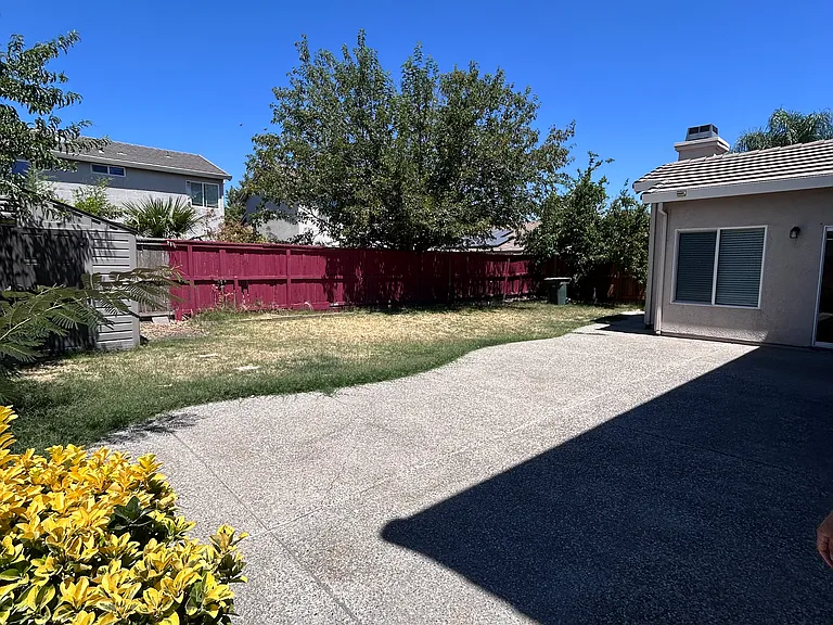low-maintenance yard