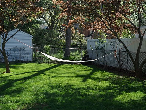 Backyard in the summer.