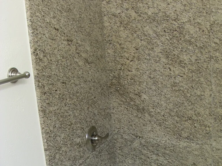 MSTR BATHROOM