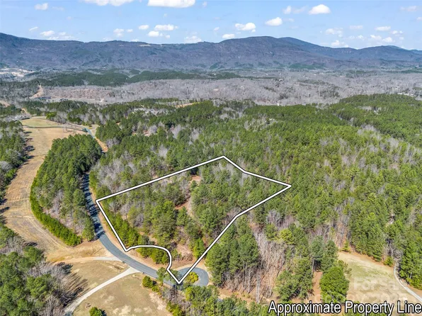 28 River Park Ln, Mill Spring, NC 28756