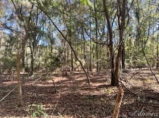 0 County Road 2202, Goshen, AL 36035