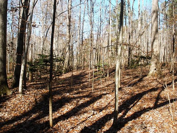 4th image of 33 White Tail Dr