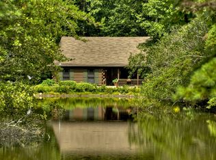 151 Olivers Pond Rd, Cherry Log, GA 30522