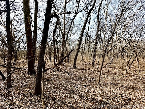 5th image of 44532 3550th Rd