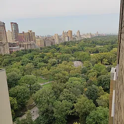 Rented by Station Cities