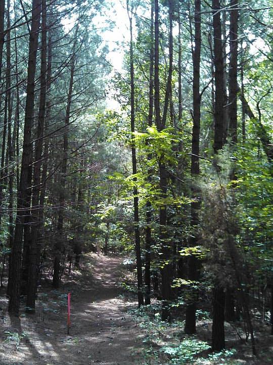 2nd image of Indiantown Road