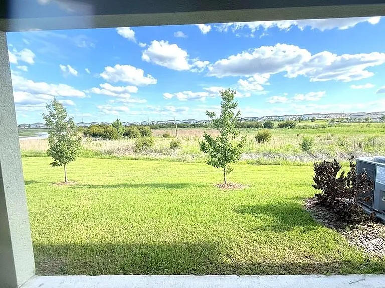32010 Spiceberry St — Photo 13