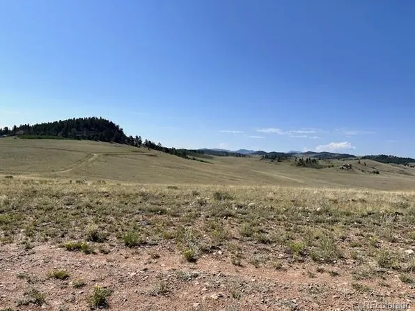 00 Guipago Trail, Hartsel, CO 80449