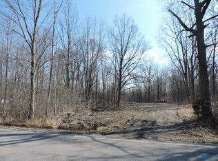 164 N Schwamberger Rd, Swanton, OH 43558