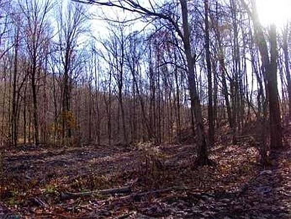 2nd image of 474 Mountain Rd