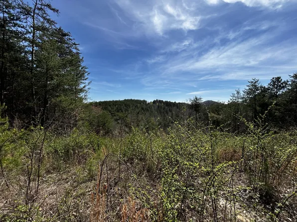 0 Owl Hollow Trl SW Lot 2, Mc Donald, TN 37353