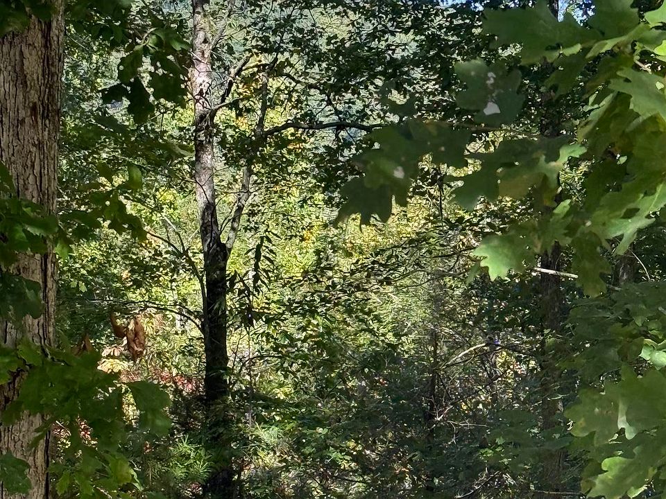 2nd image of 500 Augusta Links Trl