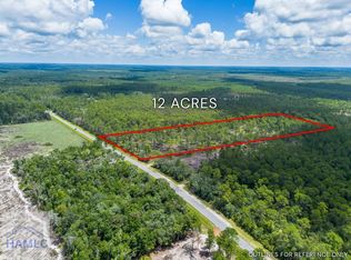 0 N Highway 259, Waynesville, GA 31566