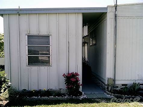Back Shed