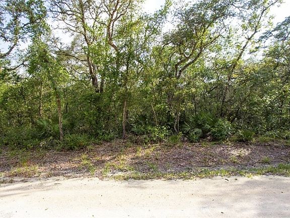 5th image of 34287 Berryhill Dr