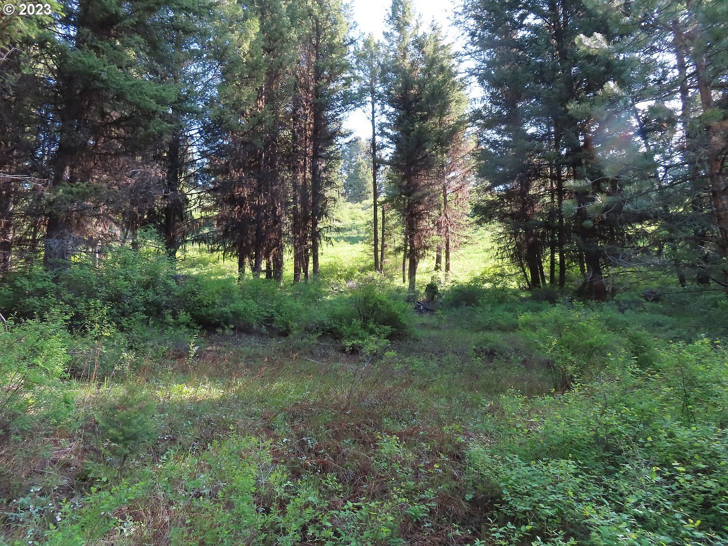 383 Pontiac Ridge Rd A & B, Oroville, WA 98844 Zillow