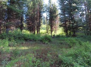 383 Pontiac Ridge Rd #A & B, Oroville, WA 98844