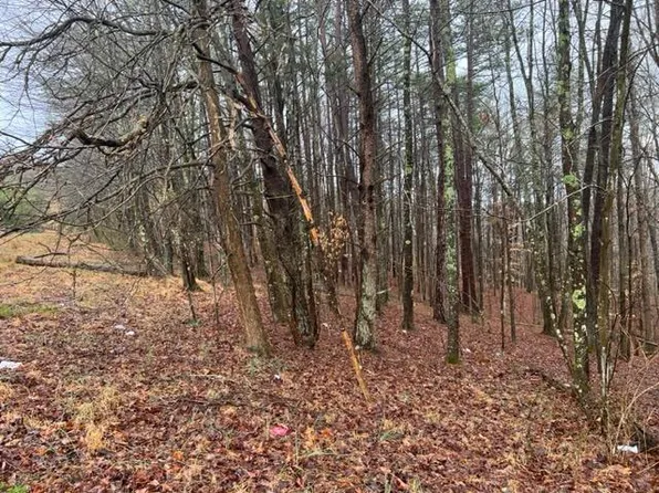 Pinch Ridge Rd, Elkview, WV 25071