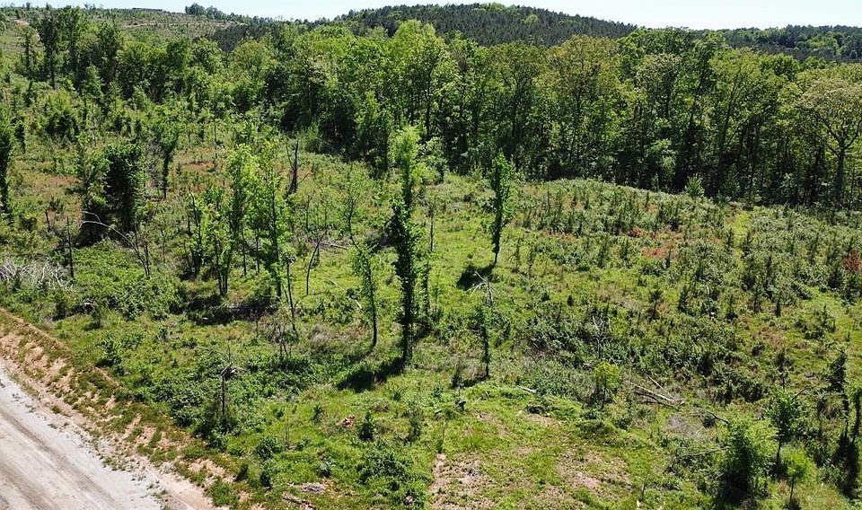 1st image of 71 Woodland Ridge Trl #250