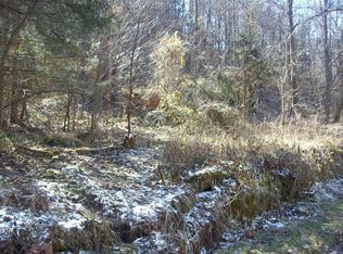 0 Chestnut Ridge Rd, Kyles Ford, TN 37765