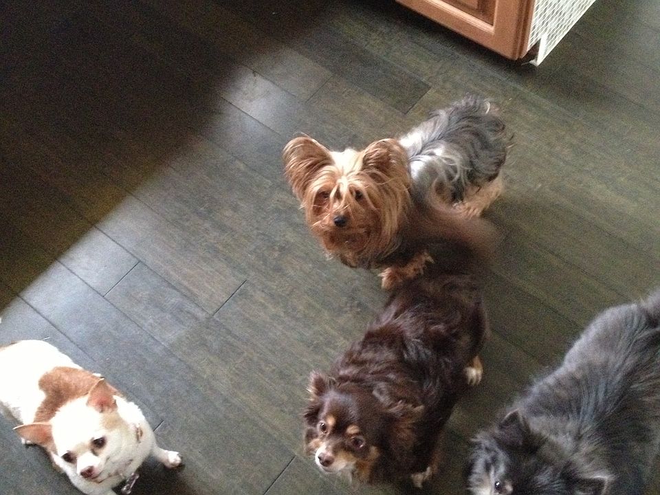 The Four at 35 Delray Lane