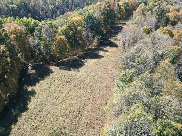 1699 Sinking Springs Rd, Arnoldsburg, WV 25234
