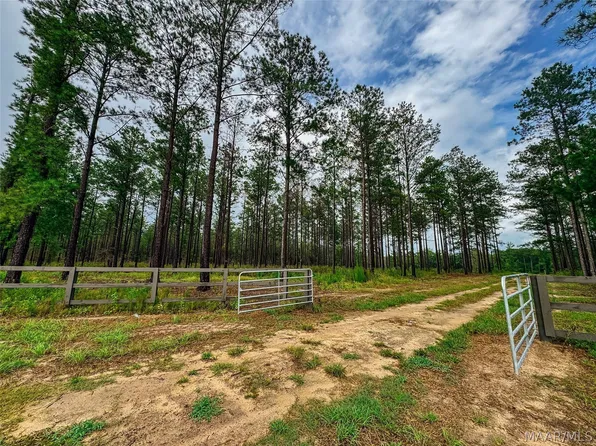 12 County Road 24 Rd, Auburn, AL 36830