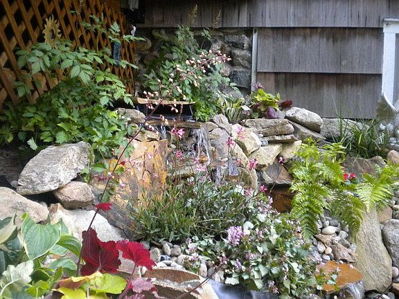 Rear Fountain / Pond